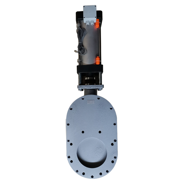 Double Disc Gate Valve-FHV2-DN200