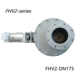 Valve à double porte FHV2-DN175