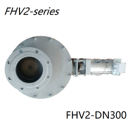 双闸板阀 FHV2-DN300